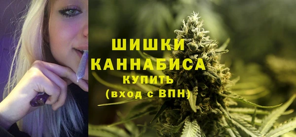 прущий лед Абаза