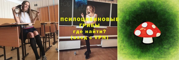 ГАЛЛЮЦИНОГЕННЫЕ ГРИБЫ Абинск