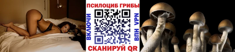 Галлюциногенные грибы MAGIC MUSHROOMS  Гагарин 