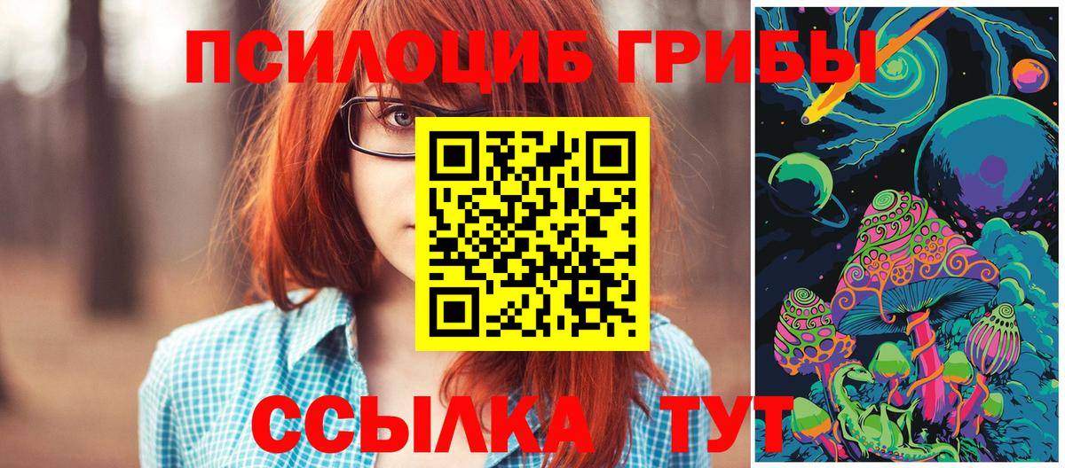 Галлюциногенные грибы GOLDEN TEACHER  Галлюциногенные грибы GOLDEN TEACHER  Гагарин  где купить наркотик  Вход с VPN 